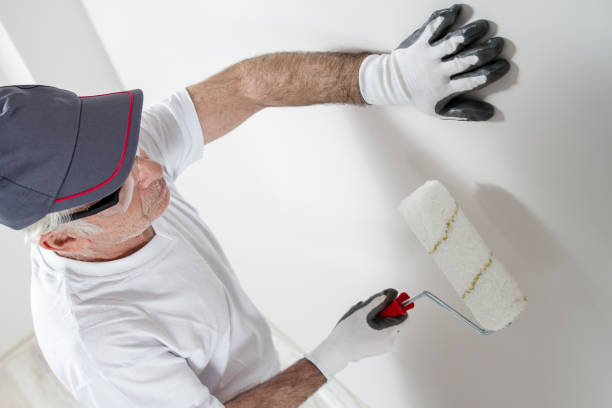Reliable West Swanzey, NH Mold Removal Solutions