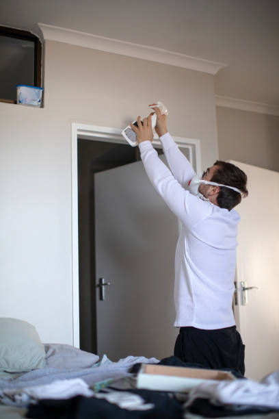 Best Water Damage & Mold Remediation  in West Swanzey, NH
