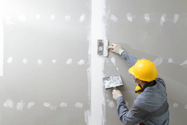 Best Asbestos and Lead Testing During Mold Inspection  in West Swanzey, NH