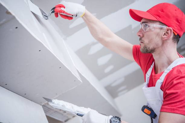 Best Environmental Consulting for Mold Prevention  in West Swanzey, NH
